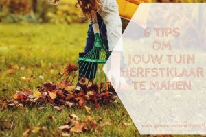 6 tips om jouw tuin herfstklaar te maken